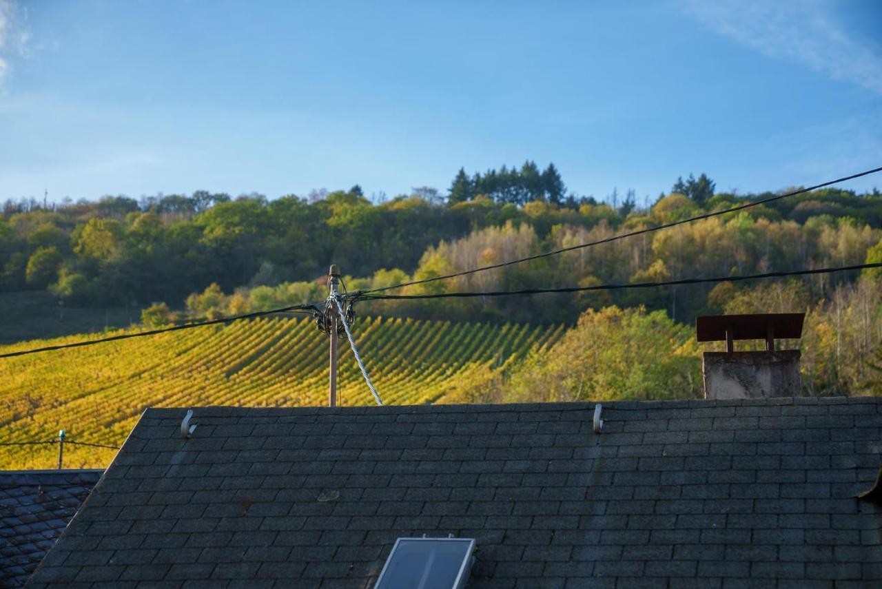 Ferienwohnung Grünberg House Traben-Trarbach Exterior foto